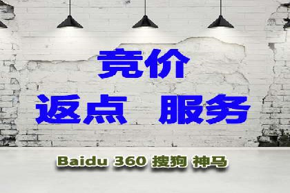 SEM推广策略：成功案例解析